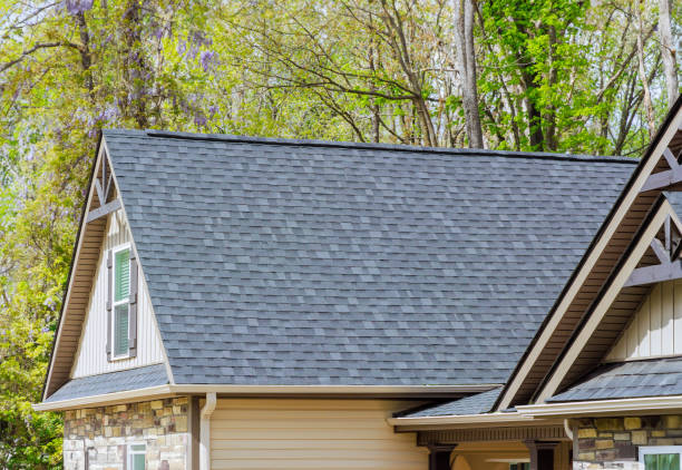 Best Roof Ventilation Installation  in Portage Lakes, OH