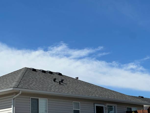 Best Roof Maintenance and Cleaning  in Portage Lakes, OH